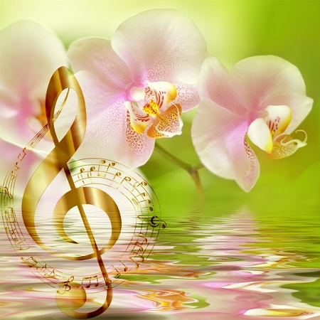 Soothing Music - music-08